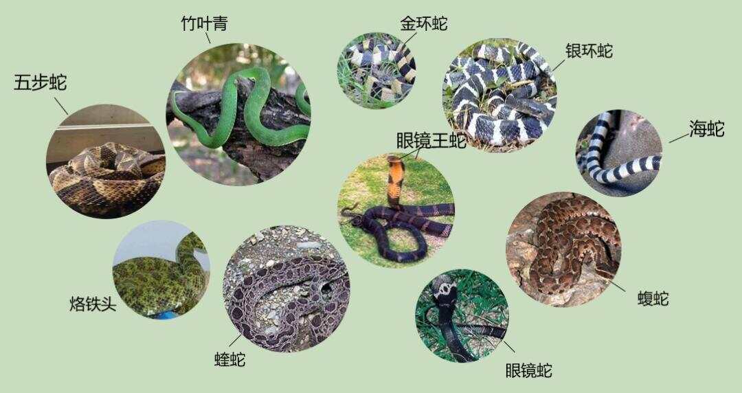 热点生活